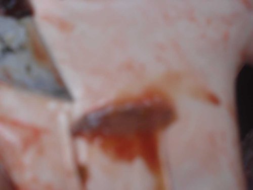DSC05434_1